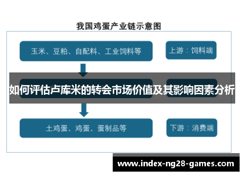 如何评估卢库米的转会市场价值及其影响因素分析