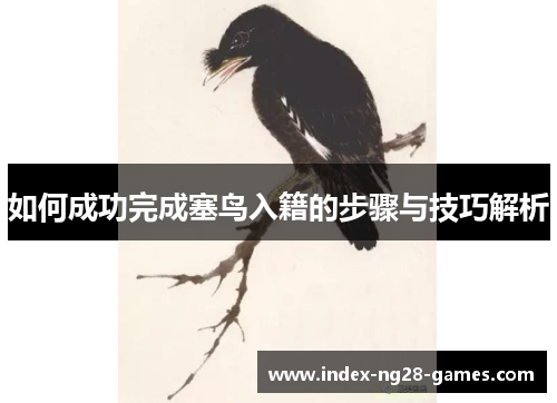 如何成功完成塞鸟入籍的步骤与技巧解析