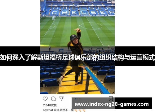 如何深入了解斯坦福桥足球俱乐部的组织结构与运营模式