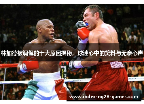 林加德被调侃的十大原因揭秘，球迷心中的笑料与无奈心声